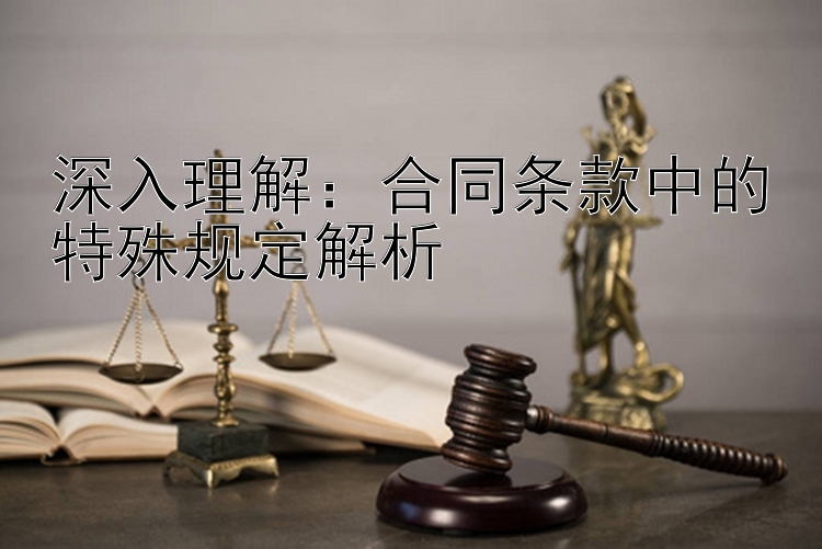 深入理解：合同条款中的特殊规定解析