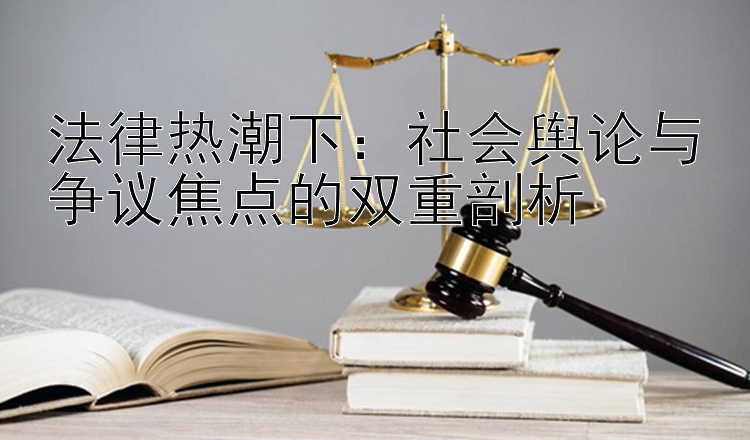 法律热潮下：社会舆论与争议焦点的双重剖析